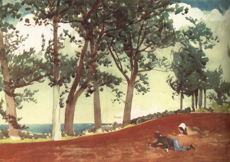 Winslow Homer Houses and trees China oil painting art